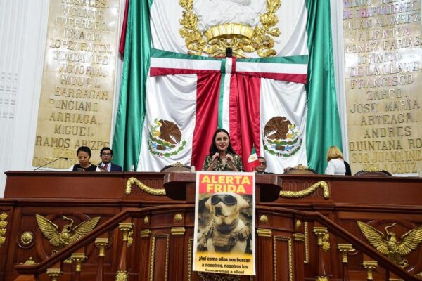“Alerta Frida”: CDMX prepara protocolo público para encontrar mascotas perdidas