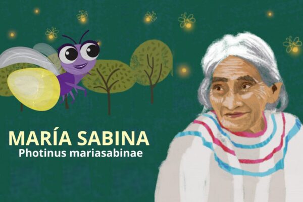 ¡Brilla María Sabina en Chapultepec! Nueva luciérnaga lleva su nombre
