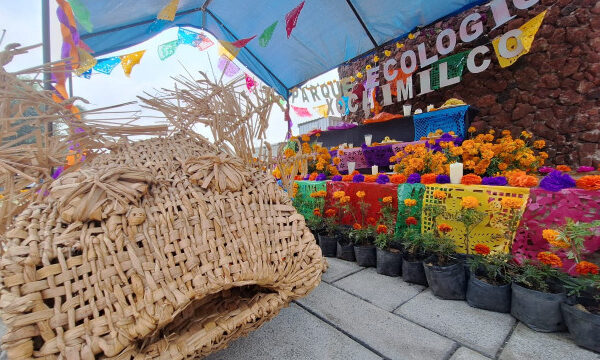Un Día de Muertos ecológico: talleres, cine y gastronomía en el corazón de Xochimilco